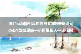  IRE1α敲除引起的胰岛B细胞去崩溃可小心1型糖尿病—小柯呆板人—迷信网