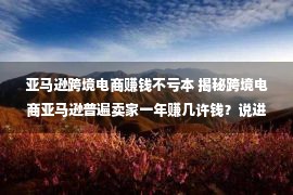 亚马逊跨境电商赚钱不亏本 揭秘跨境电商亚马逊普遍卖家一年赚几许钱？说进去你大概没有信