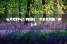 视频号如何投稿赚钱 一本书变现的6种办法