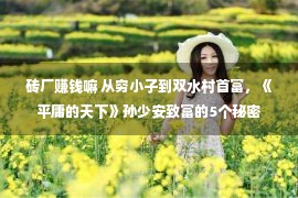 砖厂赚钱嘛 从穷小子到双水村首富，《平庸的天下》孙少安致富的5个秘密