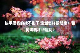 快手赚钱的找不到了 流量怎样做起来？若何烧钱才华赢利？