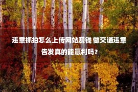 违章抓拍怎么上传网站赚钱 做交通违章告发真的能赢利吗？