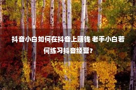 抖音小白如何在抖音上赚钱 老手小白若何练习抖音经营？