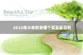  2022年小本创业哪个买卖最赢利