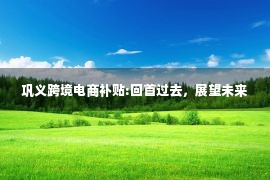 巩义跨境电商补贴:回首过去，展望未来