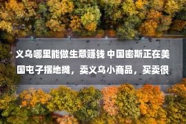 义乌哪里能做生意赚钱 中国密斯正在美国屯子摆地摊，卖义乌小商品，买卖很没有错