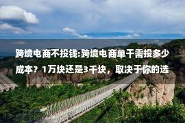 跨境电商不投钱:跨境电商单干需投多少成本？1万块还是3千块，取决于你的选择