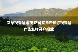 文章视频号赚钱 这篇文章告知你视频号广告怎样开户投放