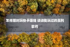 怎样限时玩快手赚钱 谈谈我玩过的赢利软件