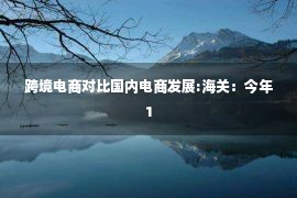 跨境电商对比国内电商发展:海关：今年1