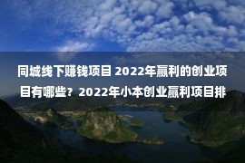 同城线下赚钱项目 2022年赢利的创业项目有哪些？2022年小本创业赢利项目排行！