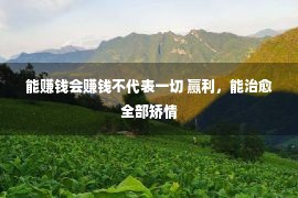 能赚钱会赚钱不代表一切 赢利，能治愈全部矫情