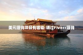 美元赚钱项目有哪些:通过Fiverr赚钱