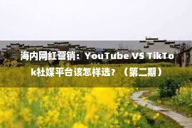  海内网红营销：YouTube VS TikTok社媒平台该怎样选？（第二期）