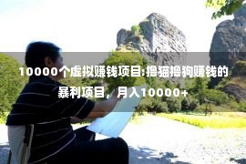 10000个虚拟赚钱项目:撸猫撸狗赚钱的暴利项目，月入10000+