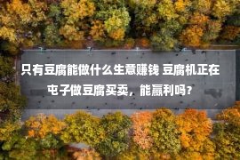 只有豆腐能做什么生意赚钱 豆腐机正在屯子做豆腐买卖，能赢利吗？