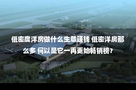 低密度洋房做什么生意赚钱 低密洋房那么多 何以是它一再更始畅销榜？