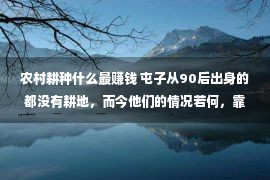 农村耕种什么最赚钱 屯子从90后出身的都没有耕地，而今他们的情况若何，靠甚么挣钱