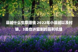 县城什么生意赚钱 2022年小县城以及村镇，3类也许复制的赢利机缘