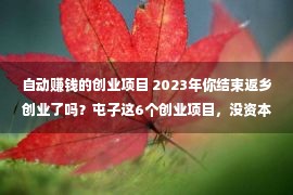 自动赚钱的创业项目 2023年你结束返乡创业了吗？屯子这6个创业项目，没资本你也灵动