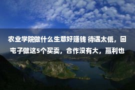 农业学院做什么生意好赚钱 待遇太低，回屯子做这5个买卖，合作没有大，赢利也没有少