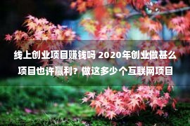 线上创业项目赚钱吗 2020年创业做甚么项目也许赢利？做这多少个互联网项目轻便年赚百万