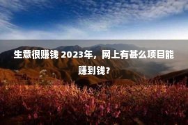 生意很赚钱 2023年，网上有甚么项目能赚到钱？