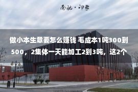 做小本生意要怎么赚钱 毛成本1吨300到500，2集体一天能加工2到3吨，这2个小买卖没有少挣