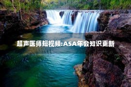 超声医师短视频:ASA年会知识更新