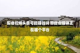 配音视频头条号能赚钱吗 想做自媒体正在哪个平台