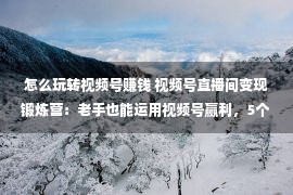 怎么玩转视频号赚钱 视频号直播间变现锻炼营：老手也能运用视频号赢利，5个月GMV200w