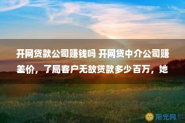 开网贷款公司赚钱吗 开网贷中介公司赚差价，了局客户无故贷款多少百万，她终于后怕了