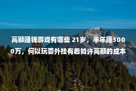 高额赚钱游戏有哪些 21岁，半年赚3000万，何以玩耍外挂有着如许高额的成本？