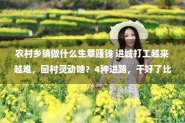 农村乡镇做什么生意赚钱 进城打工越来越难，回村灵动啥？4种进路，干好了比打工强