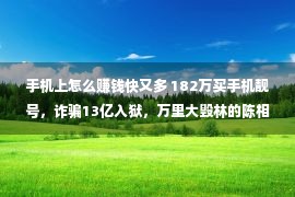 手机上怎么赚钱快又多 182万买手机靓号，诈骗13亿入狱，万里大毁林的陈相贵又东山中兴