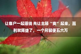 让客户一起赚钱 先让主顾“爽”起来，赢利就简捷了，一个月轻便五六万