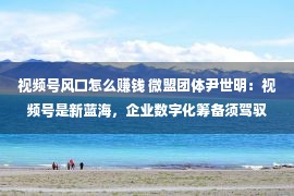 视频号风口怎么赚钱 微盟团体尹世明：视频号是新蓝海，企业数字化筹备须驾驭“全域”赢余