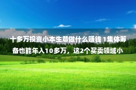 十多万投资小本生意做什么赚钱 1集体筹备也能年入10多万，这2个买卖领域小，但没有比大生意少挣