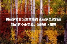 要在家做什么生意赚钱 正在家里就能赢利的五个小买卖，做好像上班强