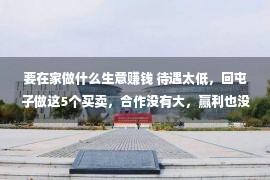 要在家做什么生意赚钱 待遇太低，回屯子做这5个买卖，合作没有大，赢利也没有少