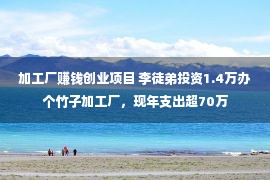 加工厂赚钱创业项目 李徒弟投资1.4万办个竹子加工厂，现年支出超70万