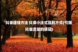 抖音赚钱方法 抖音小法式赢利方式(引爆抖音流量的项目)