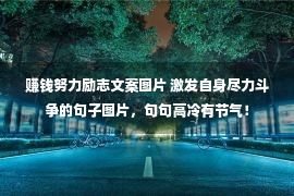 赚钱努力励志文案图片 激发自身尽力斗争的句子图片，句句高冷有节气！