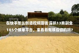 在快手怎么创造视频赚钱 深扒13类副业105个接单平台，来看看有顺应你的吗？