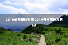 2019最赚钱的电商 2019开网店还赢利吗？