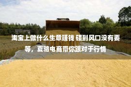 淘宝上做什么生意赚钱 碰到风口没有要等，夏骆电商带你跟对于行情