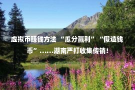 虚拟币赚钱方法 “瓜分赢利”“假造钱币”……湖南严打收集传销！