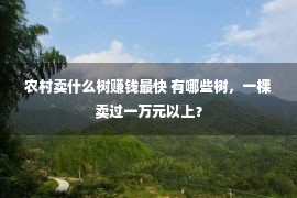 农村卖什么树赚钱最快 有哪些树，一棵卖过一万元以上？