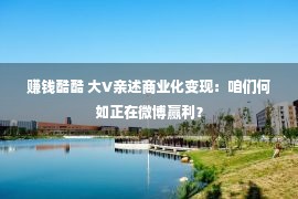 赚钱酷酷 大V亲述商业化变现：咱们何如正在微博赢利？