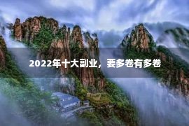  2022年十大副业，要多卷有多卷